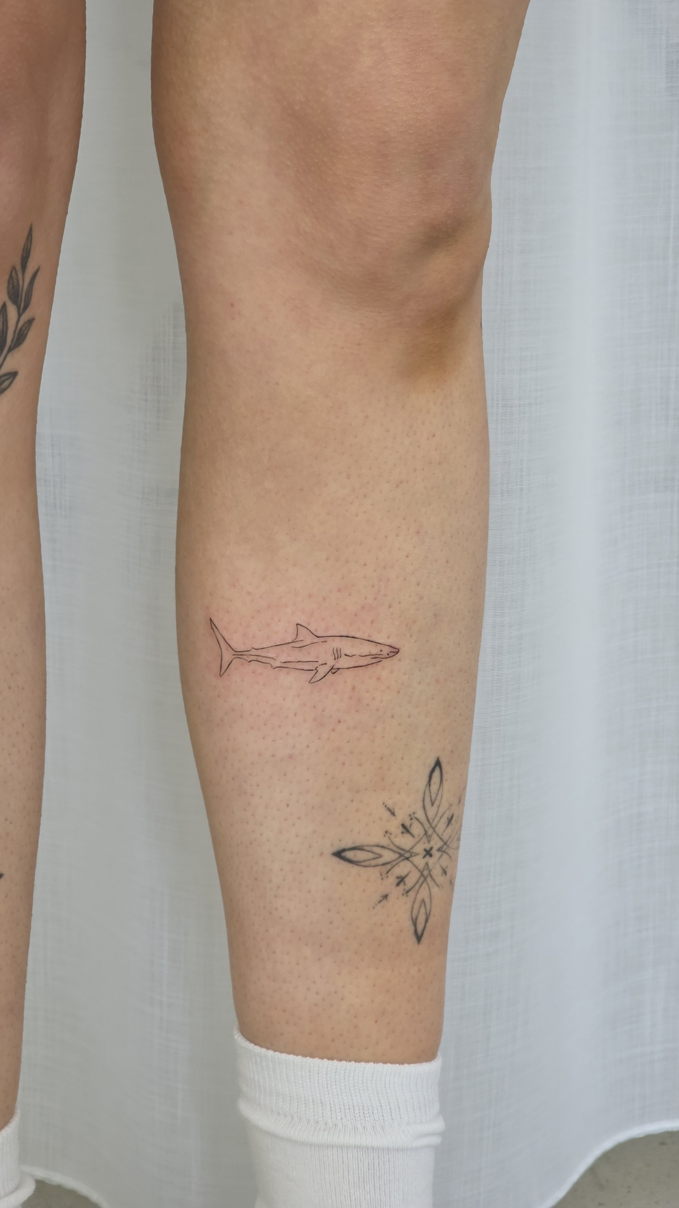Tattoo-Bild